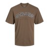 ΠΑΙΔΙΚΗ ΜΠΛΟΥΖΑ T-SHIRT COLLEGE LETTERS JACK AND JONES JUNIOR ΚΑΦΕ 12258924