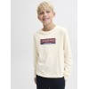 ΠΑΙΔΙΚΗ ΜΠΛΟΥΖΑ ΜΑΚΡΥΜΑΝΙΚΗ BASIC JACK AND JONES JUNIOR ΕΚΡΟΥ ΑΓΟΡΙ 12289280