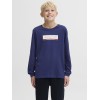 ΠΑΙΔΙΚΗ ΜΠΛΟΥΖΑ ΜΑΚΡΥΜΑΝΙΚΗ BASIC JACK AND JONES JUNIOR ΜΠΛΕ ΑΓΟΡΙ 12289280