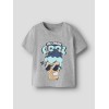 ΠΑΙΔΙΚΗ ΜΠΛΟΥΖΑ T-SHIRT ΠΑΓΩΤΟ NAME IT ΓΚΡΙ ΑΓΟΡΙ 13228225