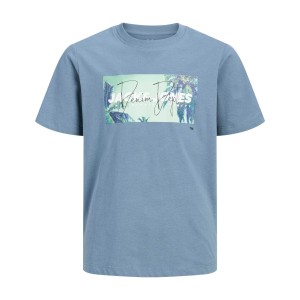 ΠΑΙΔΙΚΗ ΜΠΛΟΥΖΑ T-SHIRT ΦΟΙΝΙΚΕΣ JACK AND JONES JUNIOR ΜΠΛΕ ΑΓΟΡΙ 12289947