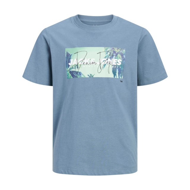 ΠΑΙΔΙΚΗ ΜΠΛΟΥΖΑ T-SHIRT ΦΟΙΝΙΚΕΣ JACK AND JONES JUNIOR ΜΠΛΕ ΑΓΟΡΙ 12289947