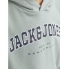 ΠΑΙΔΙΚΟ ΦΟΥΤΕΡ ΜΕ ΚΟΥΚΟΥΛΑ ΚΑΙ ΤΣΕΠΕΣ COLLEGE LETTERS JACK AND JONES JUNIOR ΠΡΑΣΙΝΟ 12259564