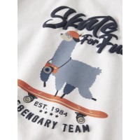 ΠΑΙΔΙΚΗ ΜΠΛΟΥΖΑ ΜΑΚΡΥΜΑΝΙΚΗ SKATE LAMA NAME IT ΑΣΠΡΟ ΑΓΟΡΙ 13224978