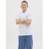 ΠΑΙΔΙΚΗ ΜΠΛΟΥΖΑ T-SHIRT POLO LOGO JACK AND JONES JUNIOR ΑΣΠΡΟ ΑΓΟΡΙ 12269998