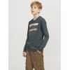 ΠΑΙΔΙΚΗ ΜΠΛΟΥΖΑ ΜΑΚΡΥΜΑΝΙΚΗ ΜΕ ΣΤΑΜΠΑ JACK AND JONES JUNIOR ΓΚΡΙ ΑΓΟΡΙ 12271368