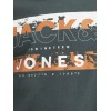 ΠΑΙΔΙΚΗ ΜΠΛΟΥΖΑ ΜΑΚΡΥΜΑΝΙΚΗ ΜΕ ΣΤΑΜΠΑ JACK AND JONES JUNIOR ΓΚΡΙ ΑΓΟΡΙ 12271368