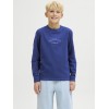 ΠΑΙΔΙΚΗ ΜΠΛΟΥΖΑ ΜΑΚΡΥΜΑΝΙΚΗ ΑΝΑΓΛΥΦΟ BRAND JACK AND JONES JUNIOR ΜΠΛΕ ΑΓΟΡΙ 12286807