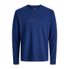 ΠΑΙΔΙΚΗ ΜΠΛΟΥΖΑ ΜΑΚΡΥΜΑΝΙΚΗ ΑΝΑΓΛΥΦΟ BRAND JACK AND JONES JUNIOR ΜΠΛΕ ΑΓΟΡΙ 12286807