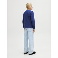 ΠΑΙΔΙΚΗ ΜΠΛΟΥΖΑ ΜΑΚΡΥΜΑΝΙΚΗ ΑΝΑΓΛΥΦΟ BRAND JACK AND JONES JUNIOR ΜΠΛΕ ΑΓΟΡΙ 12286807