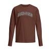 ΠΑΙΔΙΚΗ ΜΠΛΟΥΖΑ ΜΑΚΡΥΜΑΝΙΚΗ BASIC JACK AND JONES JUNIOR ΚΑΦΕ ΑΓΟΡΙ 12258928