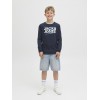 ΠΑΙΔΙΚΗ ΜΠΛΟΥΖΑ ΜΑΚΡΥΜΑΝΙΚΗ COLOR SPLASH JACK AND JONES JUNIOR ΜΠΛΕ ΑΓΟΡΙ 12279841