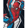 ΠΑΙΔΙΚΗ ΜΠΛΟΥΖΑ ΜΑΚΡΥΜΑΝΙΚΗ SPIDERMAN NAME IT ΜΠΛΕ ΑΓΟΡΙ 13232357